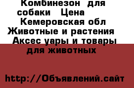 Комбинезон  для  собаки › Цена ­ 800 - Кемеровская обл. Животные и растения » Аксесcуары и товары для животных   